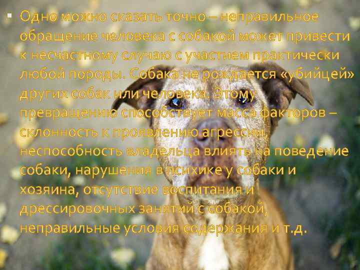  Одно можно сказать точно – неправильное обращение человека с собакой может привести к