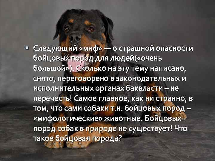  Следующий «миф» — о страшной опасности бойцовых пород для людей( «очень большой» ).