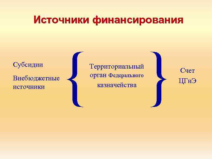 Источники финансирования Субсидии Внебюджетные источники { Территориальный орган Федерального казначейства } Счет ЦГи. Э