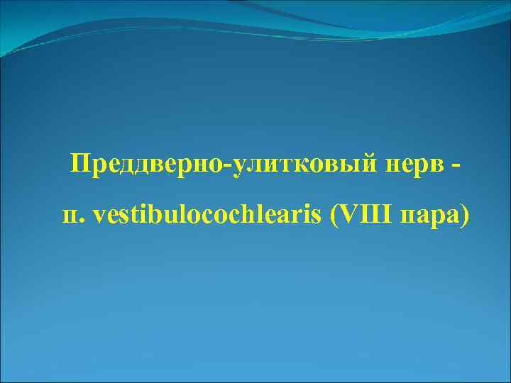 Преддверно-улитковый нерв п. vestibulocochlearis (VIII пара) 