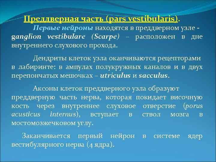 Преддверная часть (pars vestibularis). Первые нейроны находятся в преддверном узле ganglion vestibulare (Scarpe) –