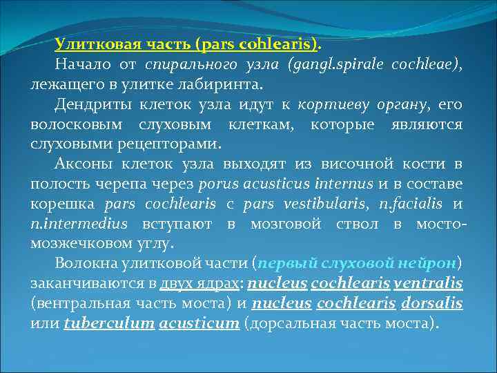 Улитковая часть (pars cohlearis). Начало от спирального узла (gangl. spirale cochleae), лежащего в улитке