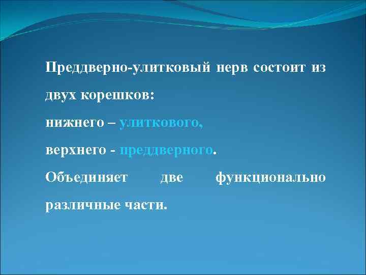 Преддверно-улитковый нерв состоит из двух корешков: нижнего – улиткового, верхнего - преддверного. Объединяет две