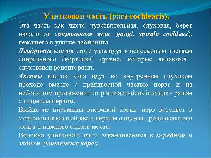 Улитковая часть (pars cochlearis). Эта часть как чисто чувствительная, слуховая, берет начало от спирального