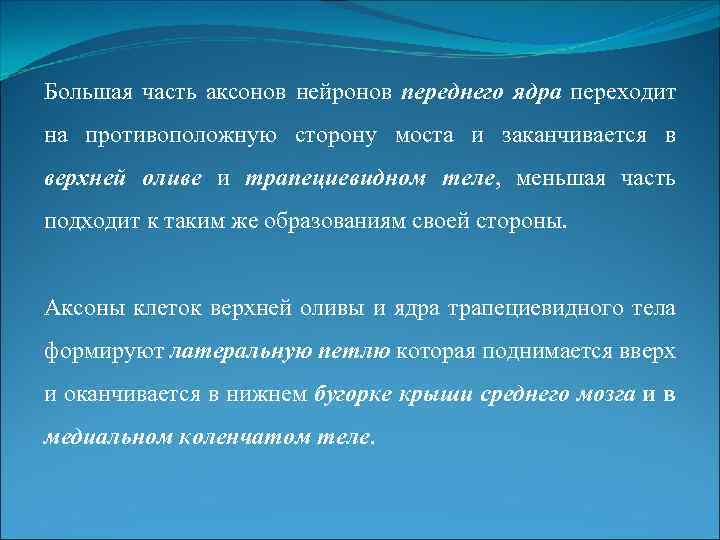 Большая часть аксонов нейронов переднего ядра переходит на противоположную сторону моста и заканчивается в