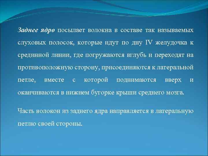 Заднее ядро посылает волокна в составе так называемых слуховых полосок, которые идут по дну