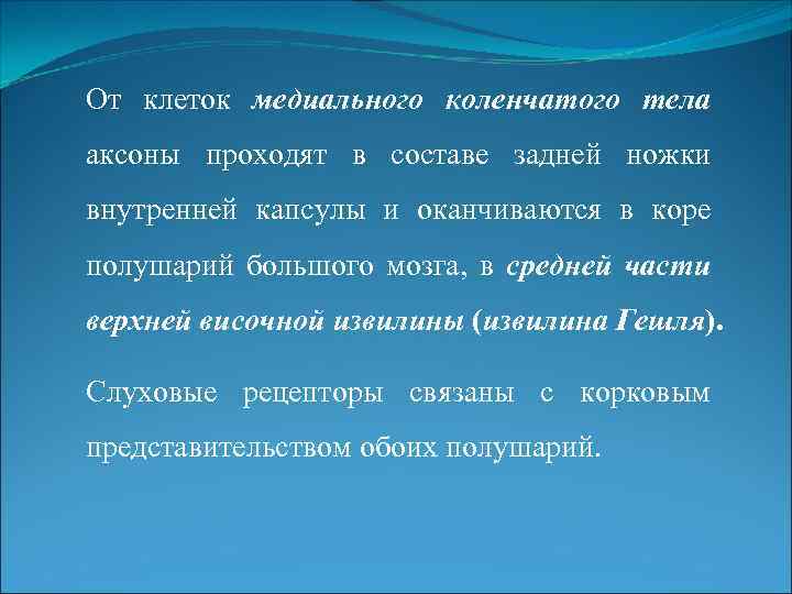 От клеток медиального коленчатого тела аксоны проходят в составе задней ножки внутренней капсулы и