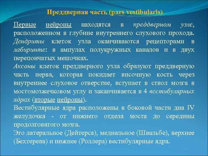 Преддверная часть (pars vestibularis) Первые нейроны находятся в преддверном узле, расположенном в глубине внутреннего