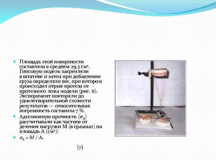  Площадь этой поверхности составляла в среднем 29, 3 см 2. Гипсовую модель закрепляли