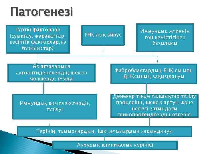 Патогенезі Түрткі факторлар (суықтау, жаракаттар, кәсіптік факторлар, нэ бұзылыстар) РНҚ лық вирус Өз ағзаларына