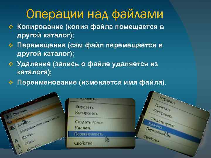 Операции над файлами Копирование (копия файла помещается в другой каталог); v Перемещение (сам файл