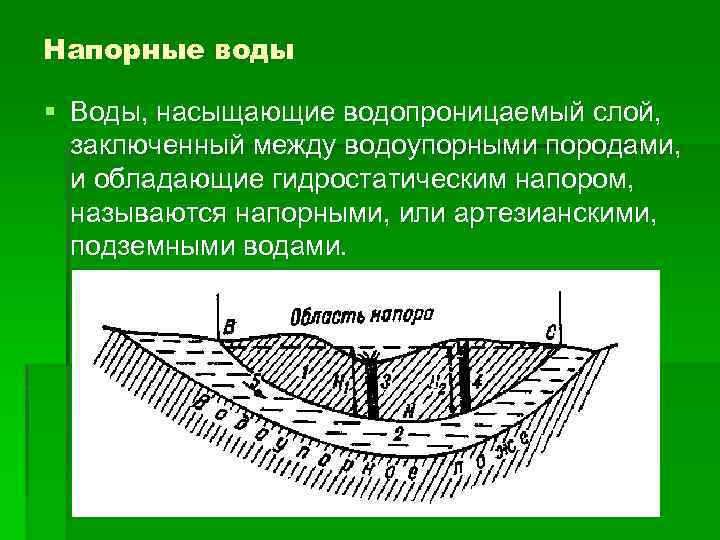 Напорные воды § Воды, насыщающие водопроницаемый слой, заключенный между водоупорными породами, и обладающие гидростатическим