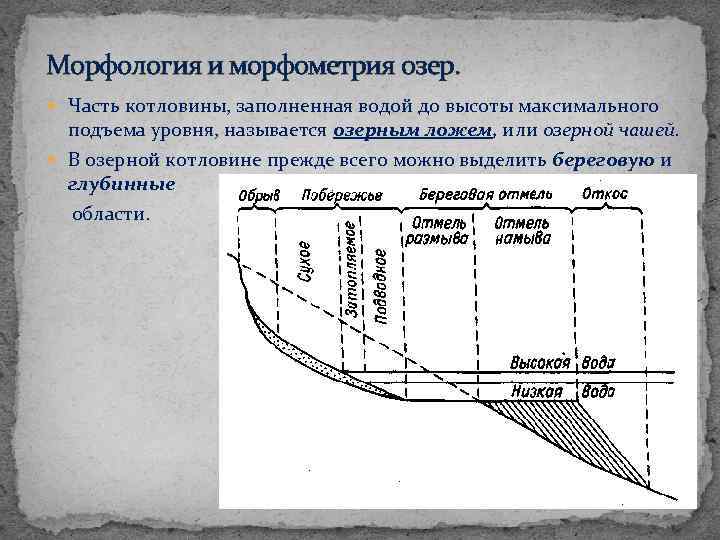 Морфология и морфометрия озер. Часть котловины, заполненная водой до высоты максимального подъема уровня, называется