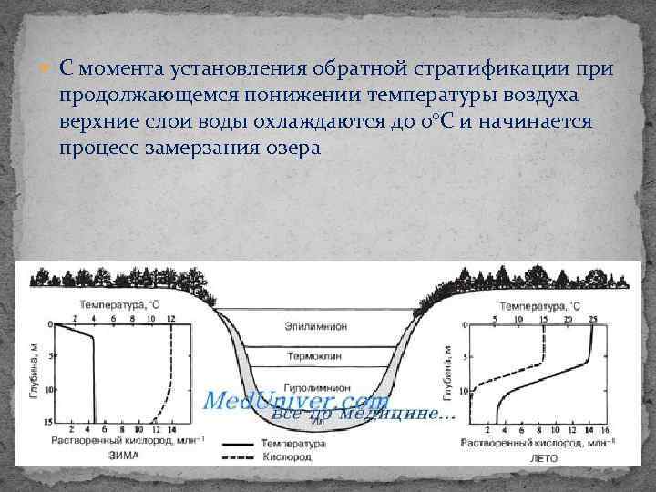  С момента установления обратной стратификации продолжающемся понижении температуры воздуха верхние слои воды охлаждаются