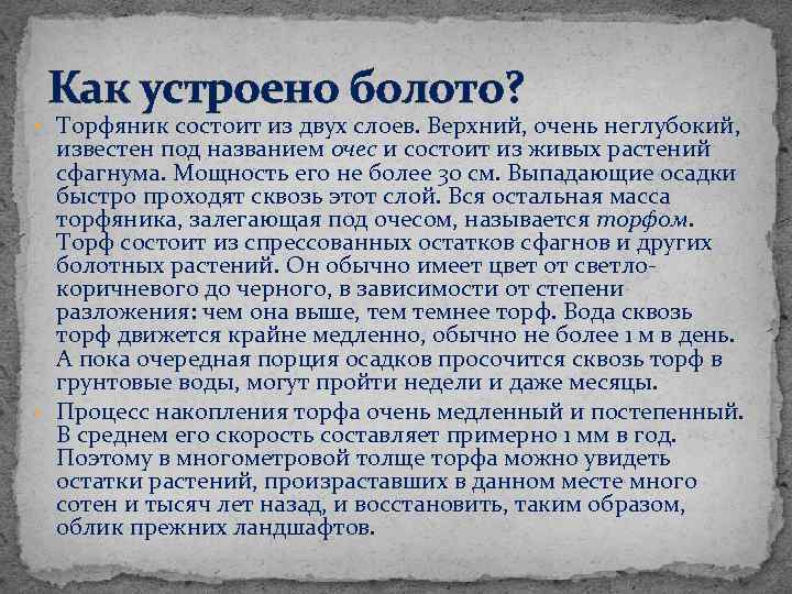 Как устроено болото? • Торфяник состоит из двух слоев. Верхний, очень неглубокий, известен под