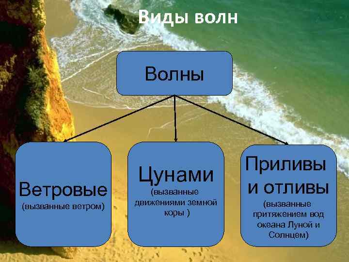 Виды волн Волны Ветровые (вызванные ветром) Цунами (вызванные движениями земной коры ) Приливы и