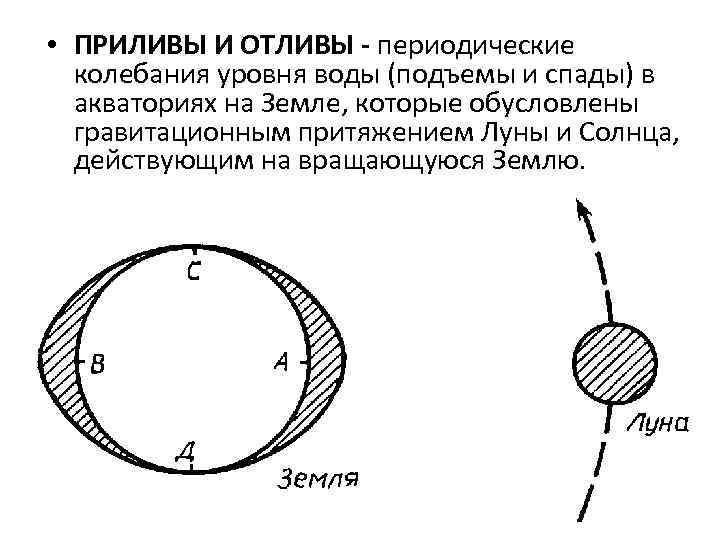  • ПРИЛИВЫ И ОТЛИВЫ - периодические колебания уровня воды (подъемы и спады) в