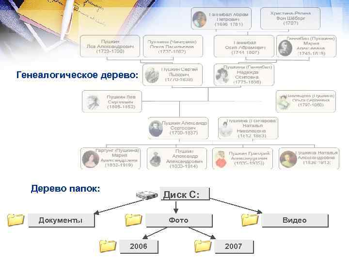 Генеалогическое дерево: Дерево папок: Диск C: Фото Документы 2006 Видео 2007 