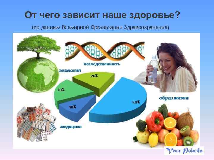 От чего зависит наше здоровье? (по данным Всемирной Организации Здравоохранения) 