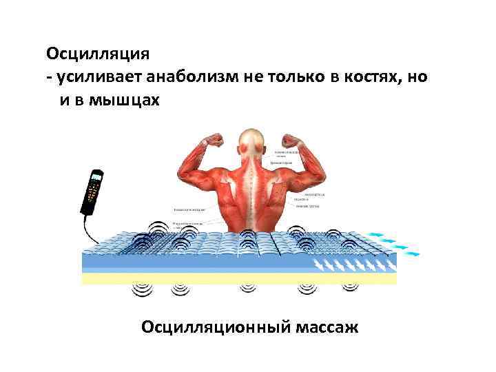 Осцилляция - усиливает анаболизм не только в костях, но и в мышцах Осцилляционный массаж