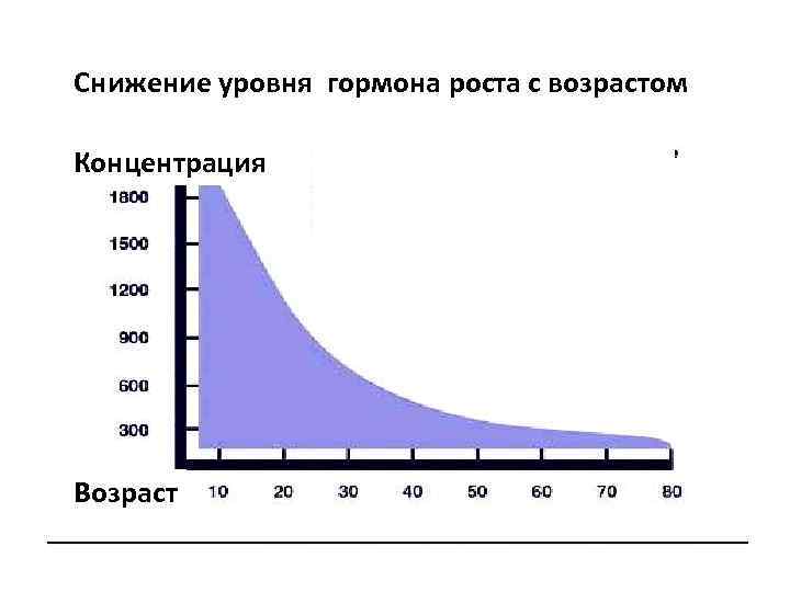 Снижение уровня гормона роста с возрастом Концентрация Возраст 