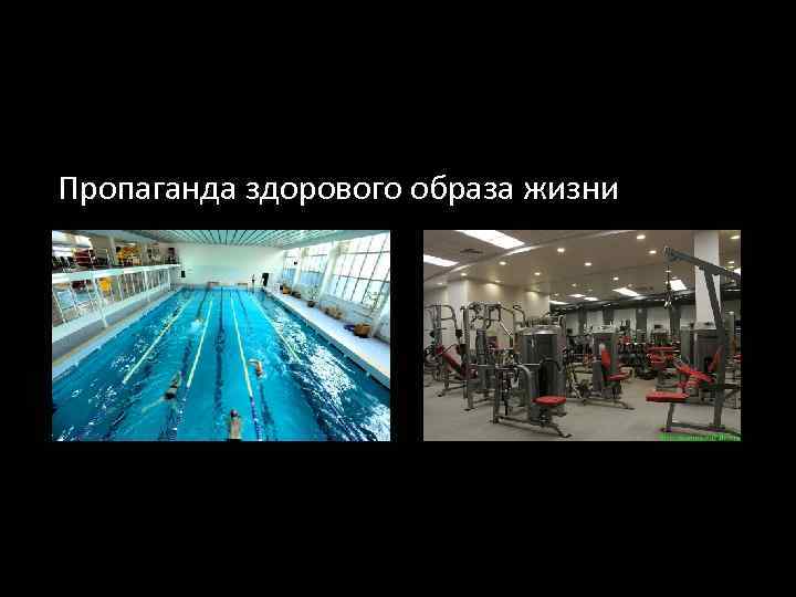 Пропаганда здорового образа жизни 