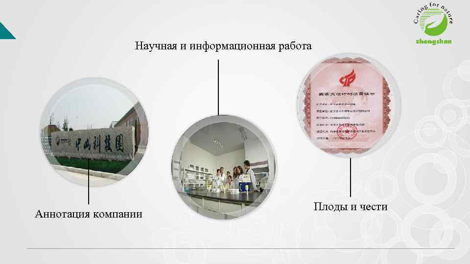 Научная и информационная работа Аннотация компании Плоды и чести 