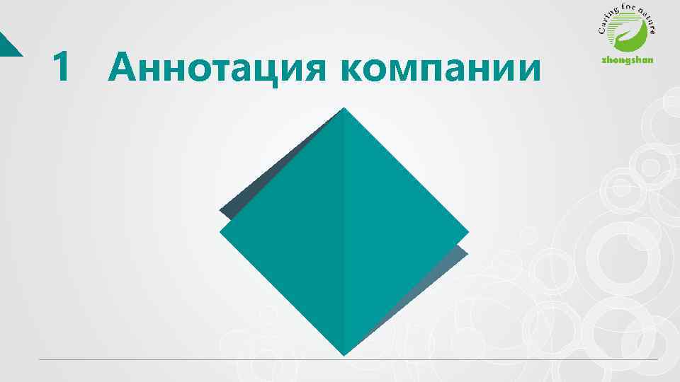 1 Аннотация компании 