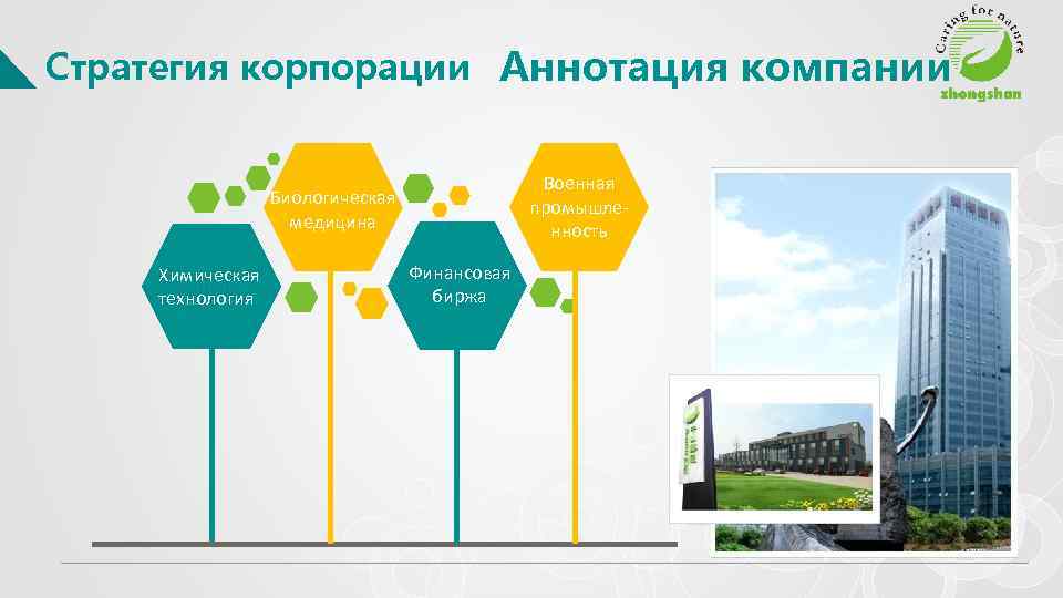 Стратегия корпорации Аннотация компании Военная промышленность Биологическая медицина Химическая технология Финансовая биржа 