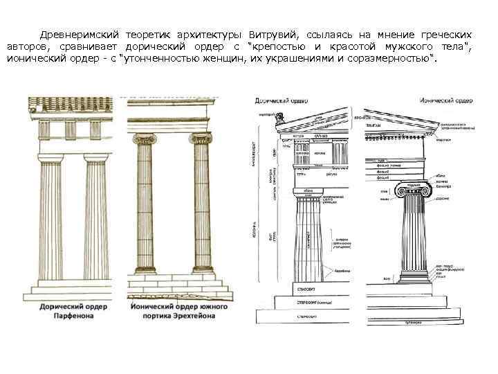 Древнеримский теоретик архитектуры Витрувий, ссылаясь на мнение греческих авторов, сравнивает дорический ордер с 