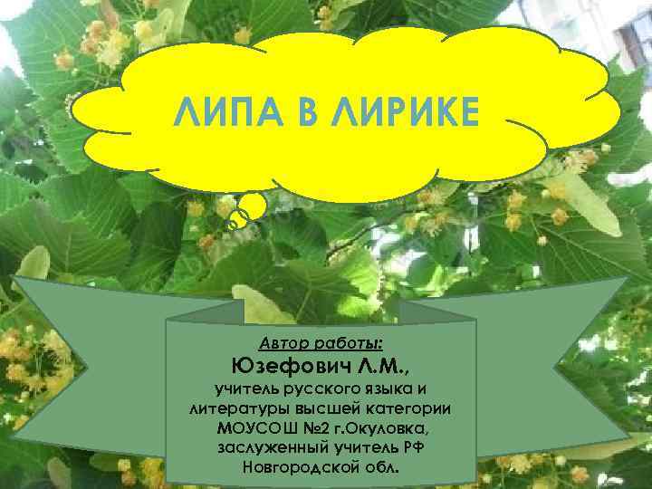 ЛИПА В ЛИРИКЕ Автор работы: Юзефович Л. М. , учитель русского языка и литературы