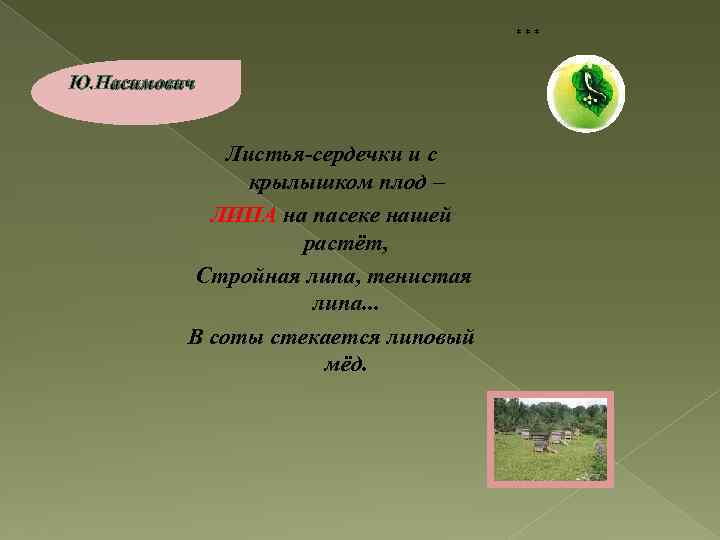 *** Ю. Насимович Листья-сердечки и с крылышком плод – ЛИПА на пасеке нашей растёт,
