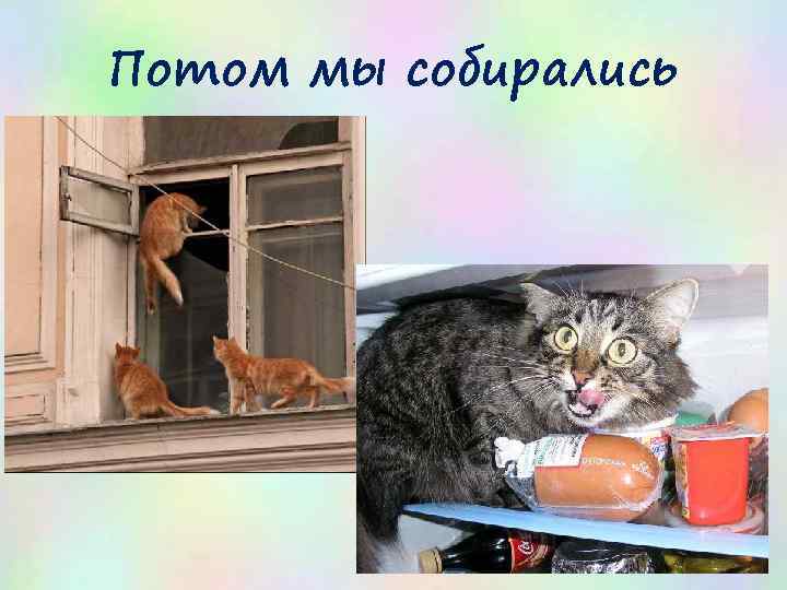 Потом мы собирались 