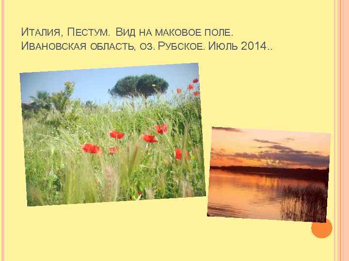 ИТАЛИЯ, ПЕСТУМ. ВИД НА МАКОВОЕ ПОЛЕ. ИВАНОВСКАЯ ОБЛАСТЬ, ОЗ. РУБСКОЕ. ИЮЛЬ 2014. . 