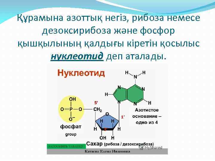 Дезоксирибоза кислота