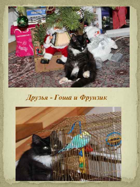  Друзья - Гоша и Фрунзик 