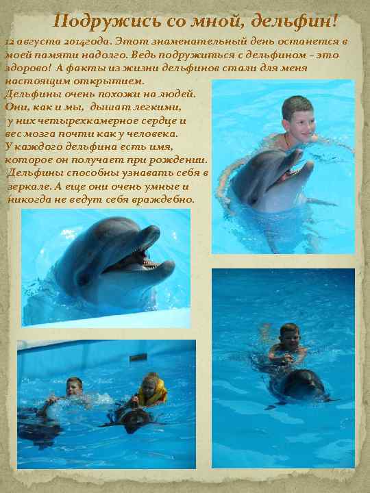  Подружись со мной, дельфин! 12 августа 2014 года. Этот знаменательный день останется в