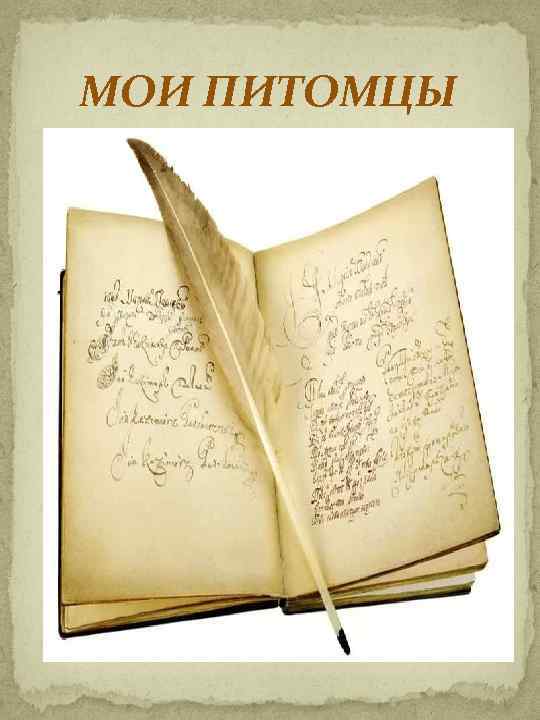 МОИ ПИТОМЦЫ 