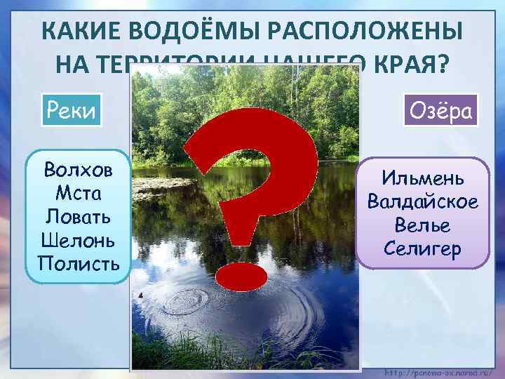 КАКИЕ ВОДОЁМЫ РАСПОЛОЖЕНЫ НА ТЕРРИТОРИИ НАШЕГО КРАЯ? Реки Волхов Мста Ловать Шелонь Полисть Озёра