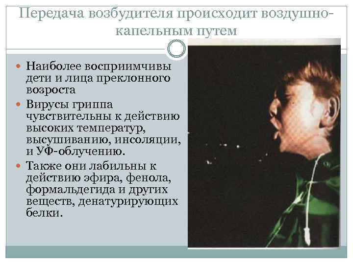 Передача возбудителя происходит воздушнокапельным путем Наиболее восприимчивы дети и лица преклонного возроста Вирусы гриппа