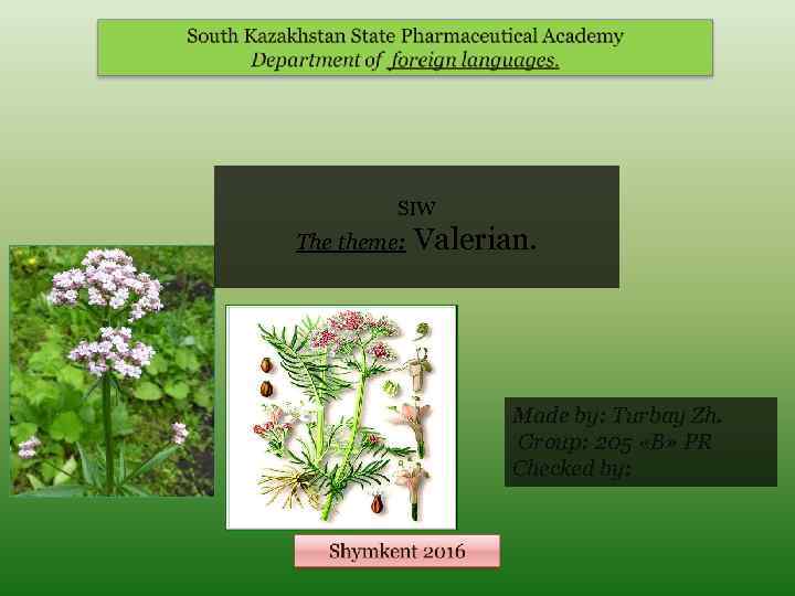 SIW The theme: Valerian. Made by: Turbay Zh. Group: 205 «B» PR Checked by: