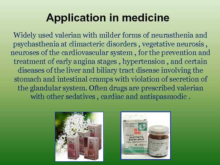 Application in medicine Widely used valerian with milder forms of neurasthenia and psychasthenia at