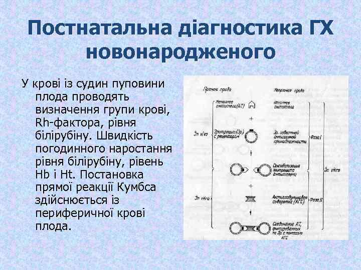 Постнатальна діагностика ГХ новонародженого У крові із судин пуповини плода проводять визначення групи крові,