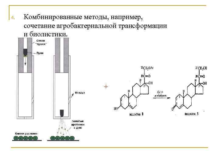 4. Комбинированные методы, например, сочетание агробактериальной трансформации и биолистики. 5. + 6. 