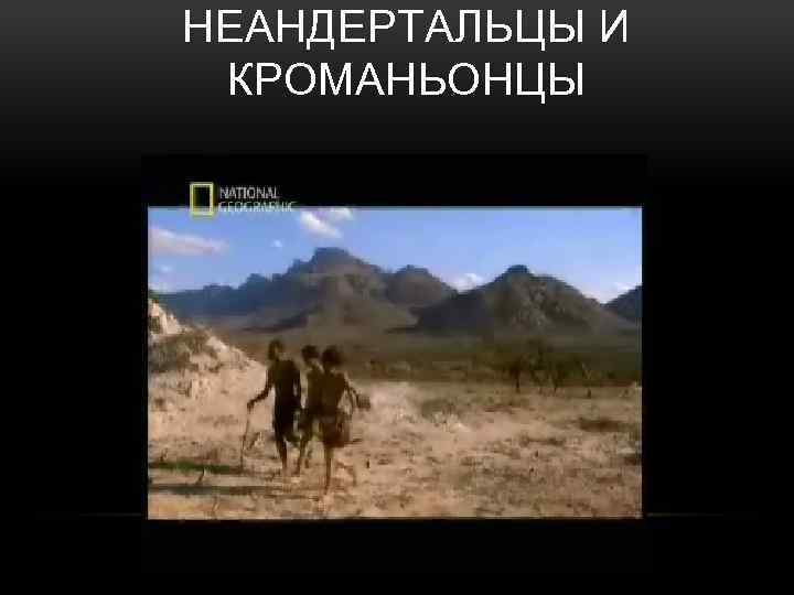 НЕАНДЕРТАЛЬЦЫ И КРОМАНЬОНЦЫ 
