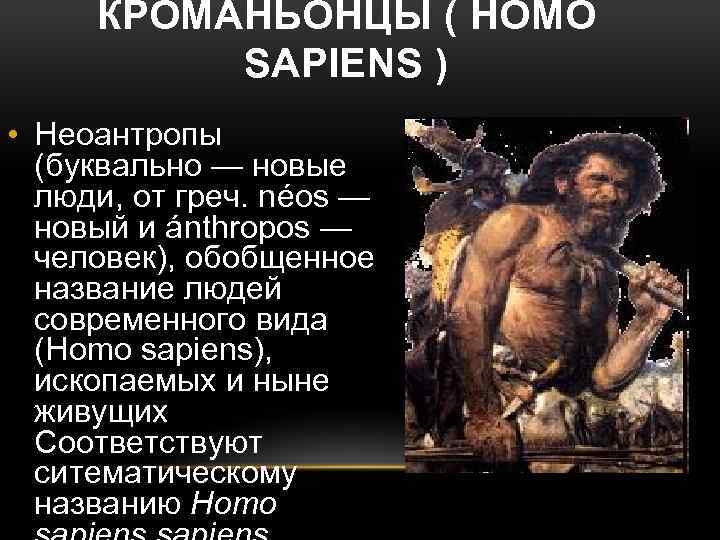 КРОМАНЬОНЦЫ ( HOMO SAPIENS ) • Неоантропы (буквально — новые люди, от греч. néos