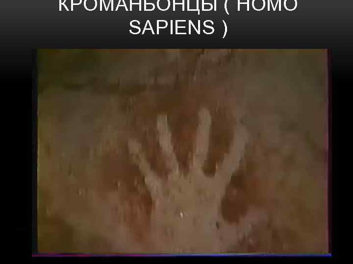 КРОМАНЬОНЦЫ ( HOMO SAPIENS ) 
