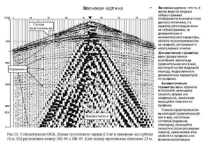 Волновая картина • • Волновая картина это то, в каком виде на сводных сейсмо