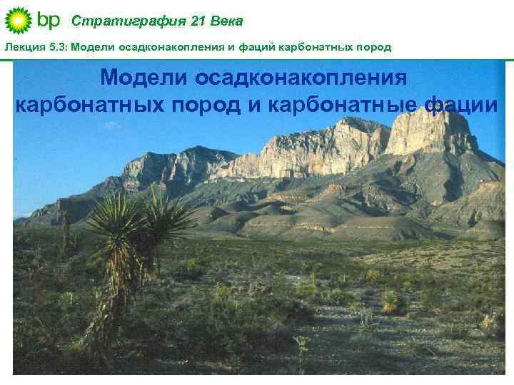 Стратиграфия 21 Века Лекция 5. 3: Модели осадконакопления и фаций карбонатных пород Модели осадконакопления