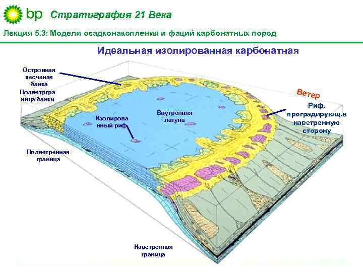Стратиграфия 21 Века Лекция 5. 3: Модели осадконакопления и фаций карбонатных пород Островная песчаная
